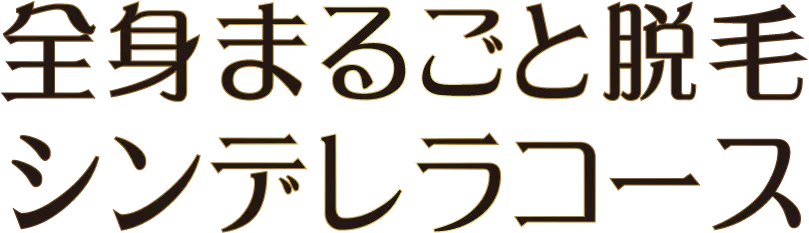 全身まるごとシンデレラコース