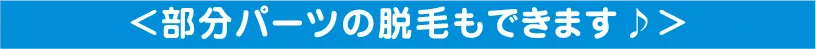部分パーツの脱毛もできます